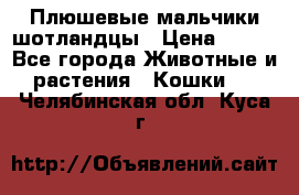 Плюшевые мальчики шотландцы › Цена ­ 500 - Все города Животные и растения » Кошки   . Челябинская обл.,Куса г.